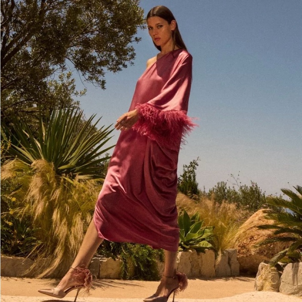 Pink Zara Feathered Satin Dress